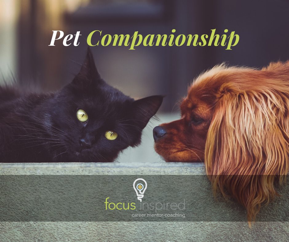 Title Card - Pet Companionship
